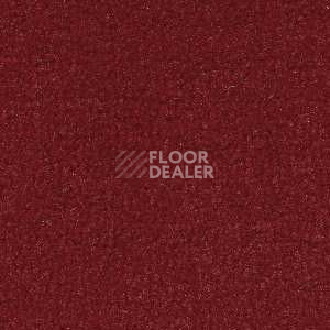 Ковролин Radici Forum Rubino 2132 фото 1 | FLOORDEALER